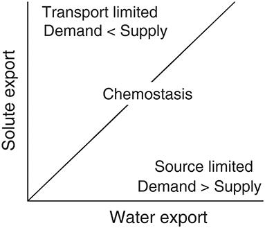 Supply, Demand, and In-Stream Retention of Dissolved Organic Carbon and Nitrate During Storms in Mediterranean Forested Headwater Streams